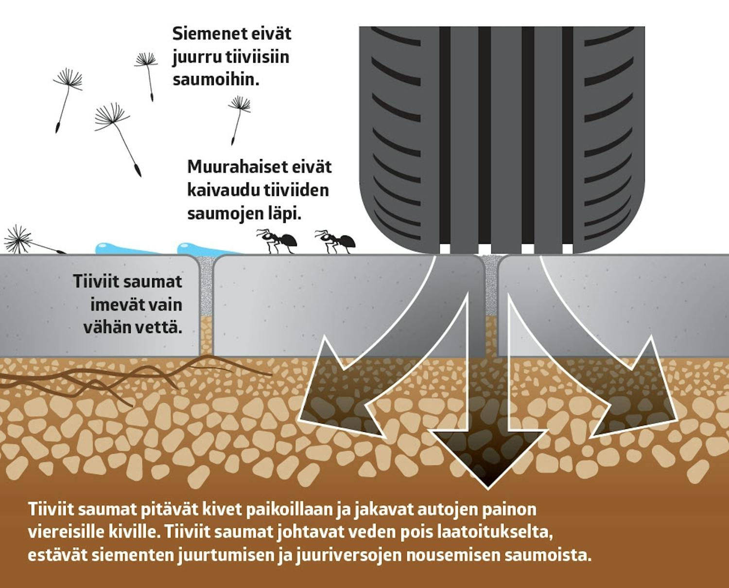 Miksi saumoissa kasvaa rikkaruohoja?
